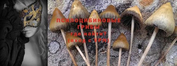 спайс Балабаново